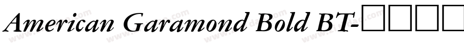 American Garamond Bold BT字体转换
